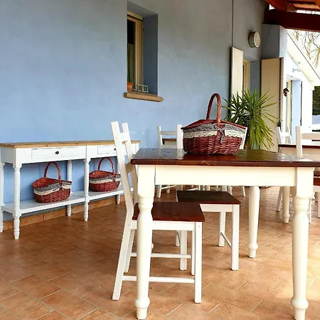 Insolent Gatteo a Mare