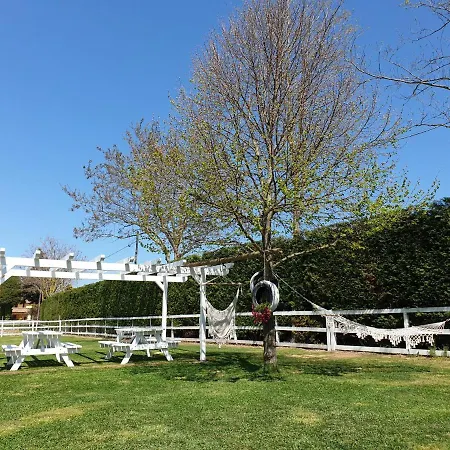 בית הארחה Insolent 3*