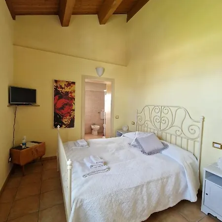 Insolent Gatteo a Mare