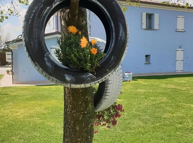 Insolent Gatteo a Mare