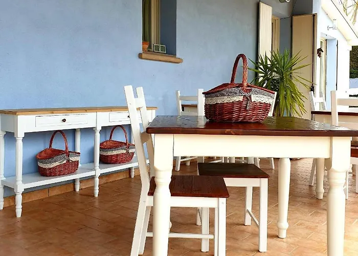 Insolent גאטאו א מארה