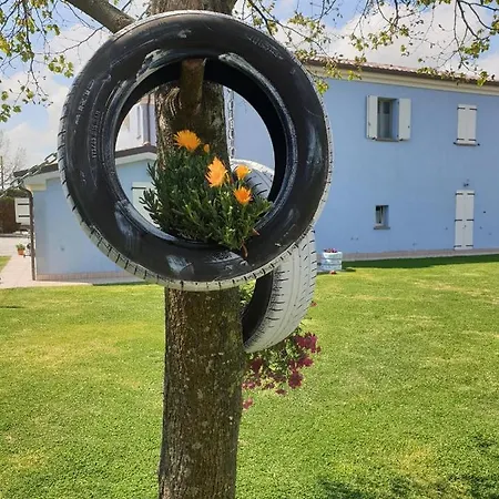 Insolent Gatteo a Mare